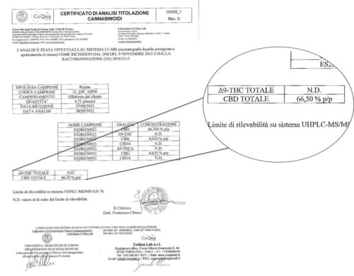 cbd hash analisys primero