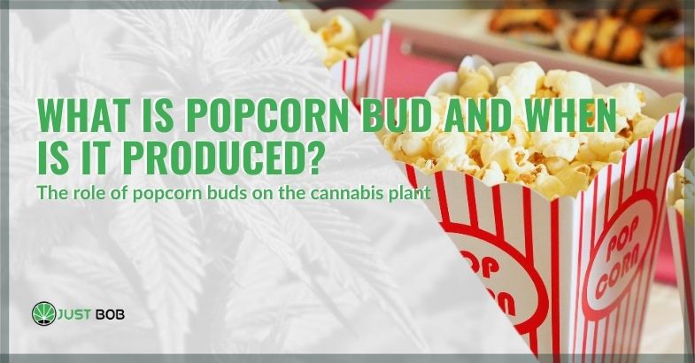What are popcorn tops | Justbob
