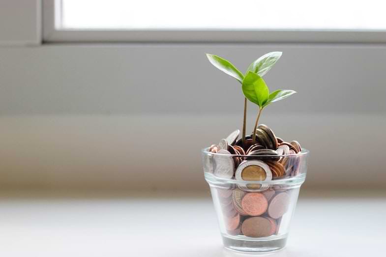 Cannabis taxation | Justbob 