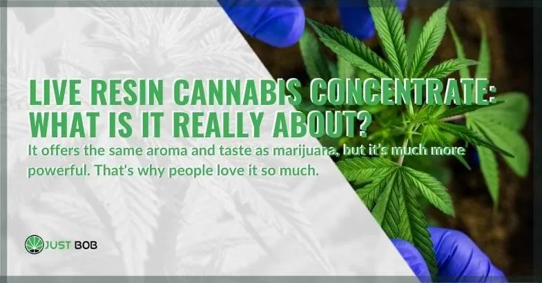 cannabis-live-resin-concentrate Cannabis live resin concentrate | Justbob