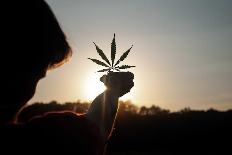 How cannabicromene works | Justbob 