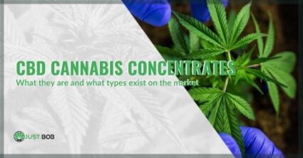 What are light cannabis concentrates | Justbob