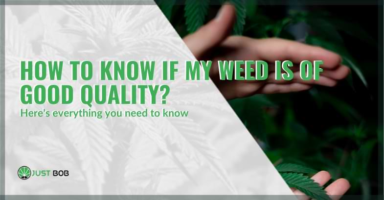 how to know if my weed is of good quality | Justbob