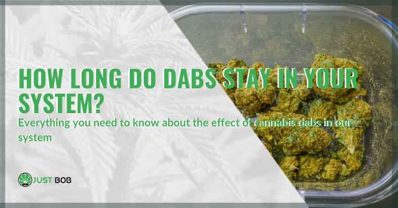 how long do dabs stay in your system? | Justbob