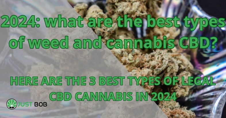 2024: what are the best types of marijuana?