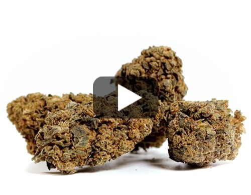 ORANGE CBD BOOST view 2