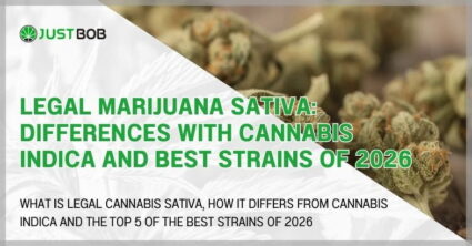 Legal marijuana Sativa: differences with cannabis indica