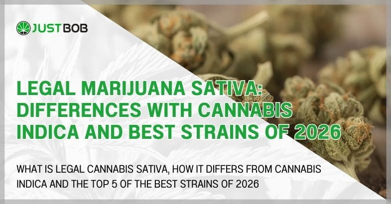 Legal marijuana Sativa: differences with cannabis indica
