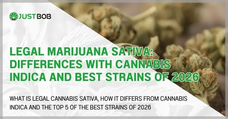 legal-marijuana-sativa Legal marijuana Sativa: differences with cannabis indica