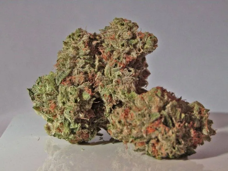 the-Master-Kush Master Kush: one of the best light hemp strains.