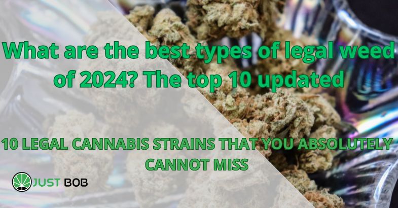 What are the best types of CBD weed of 2024?
