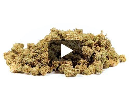 cbd-flower-california-haze-small
