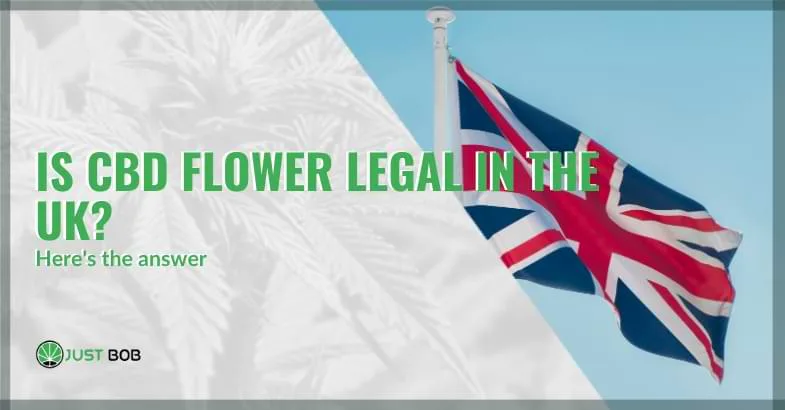 cbd-flower-legal-in-the-uk is cbd flower legal in the uk | Justbob