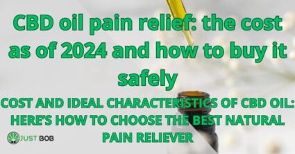 CBD oil pain relief: the cost as of 2024