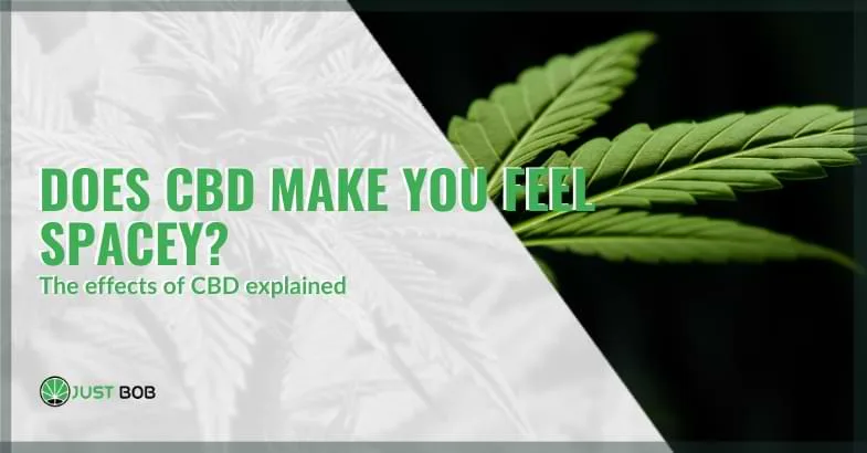 does-cbd-make-you-feel-spacey does cbd make you feel spacey | Justbob