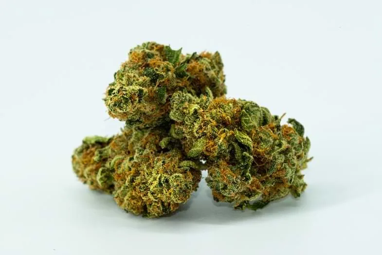 how-to-store-marijuana best way to store weed | Justbob