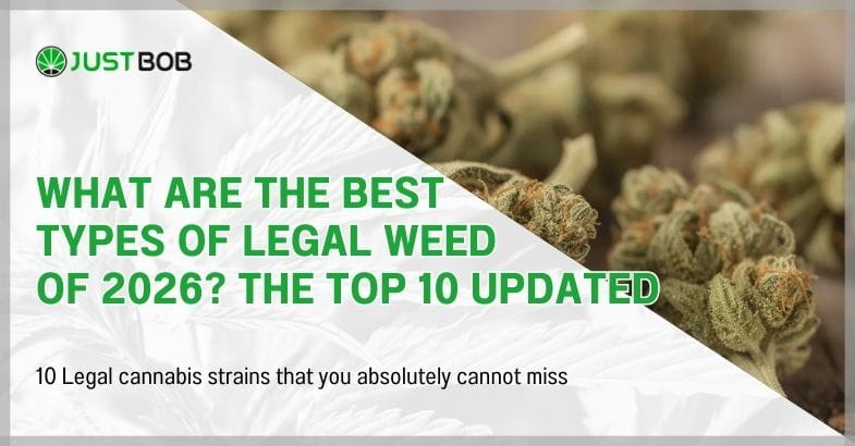What are the best types of legal weed of 2026?