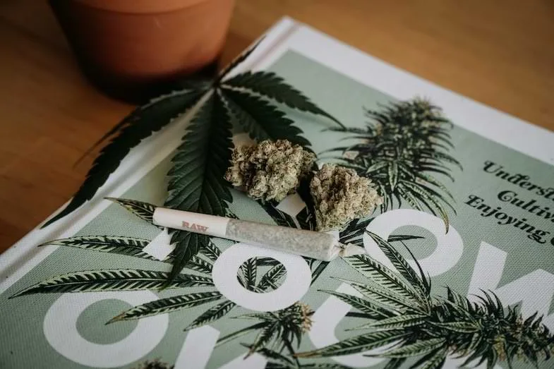 uk-flower-weed is cbd flower legal in the uk | Justbob
