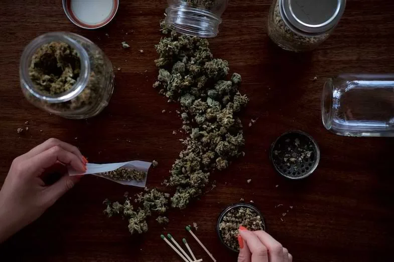 weed-legal-uk is cbd flower legal in the uk | Justbob