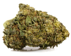ak47 cbd boost buds