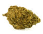 63835 Close-up of a CBD flower skunk h4 cbd organic and sustainable cultivation