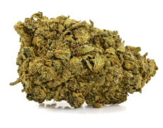 skunk h4 cbd flower