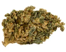 CBD Flowers of HQ cbd boost quality