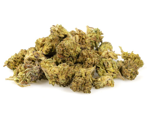 HQ cbd boost small buds