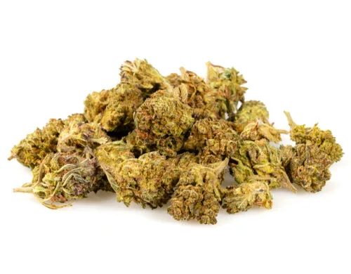 HQ cbd boost small buds