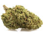 2118 bubblegum cbd weed