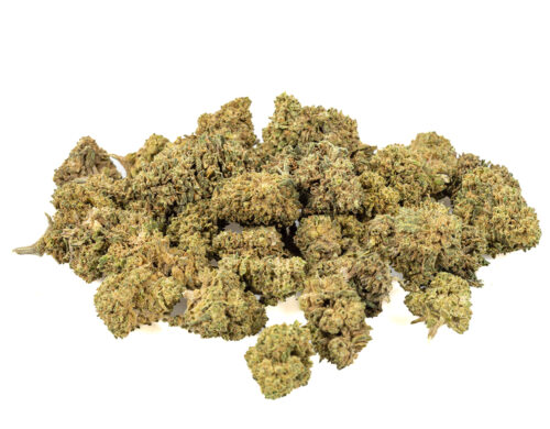 bubblegum small cbd buds