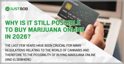 Why is it still possible to buy marijuana online in 2026?