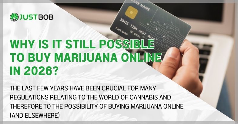 Why is it still possible to buy marijuana online in 2026?