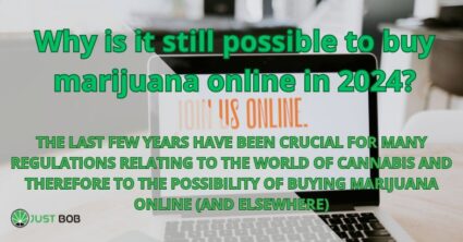 Why is it still possible to buy marijuana online in 2024?