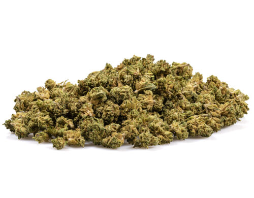 california haze cbd buds small