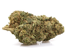 california haze cbd weed