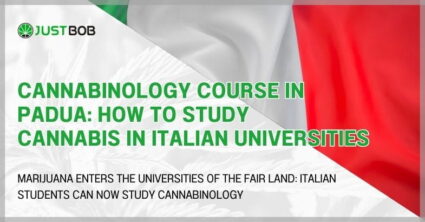 Cannabinology Course in Padua: How to Study Cannabis in Italian Universities
