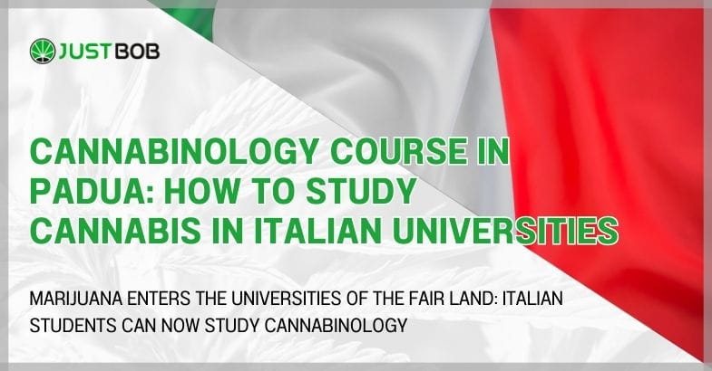 Cannabinology Course in Padua: How to Study Cannabis in Italian Universities