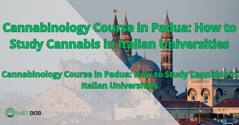 Cannabinology Course in Padua: How to Study Cannabis in Italian Universities