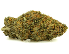 cbd buds of sweet berry