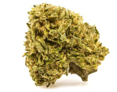 cbd flower of melon kush 