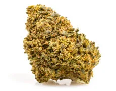 cbd flowers of amnesia cbd boost