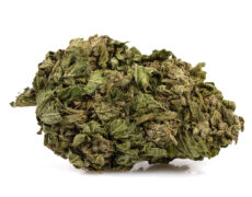 legal weed buds of zkittles cbg