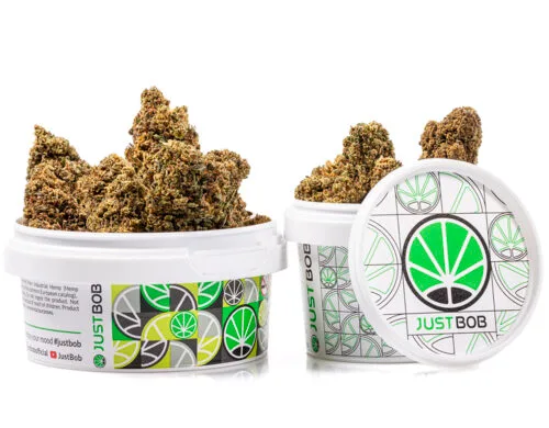tin with buds of gg4 cbd boost cannabis