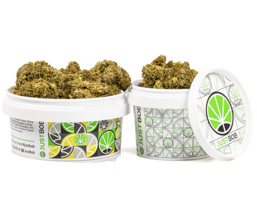 tin with cbd weed Gelato cbd boost