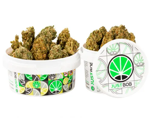 tin with cbd buds of HQ cbd boost