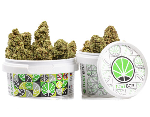 tin with flowers of bubblegum cannabis