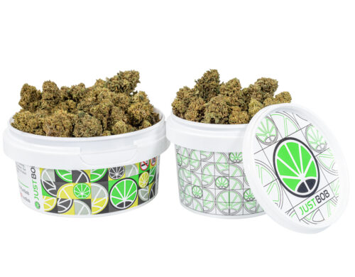 tin with flowers of bubblegum small cbd cannabis