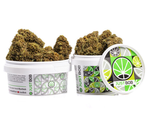 tin with flowers of mango cbd boost cannabis