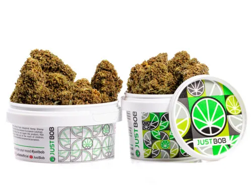 tin with flowers of mango cbd boost cannabis
